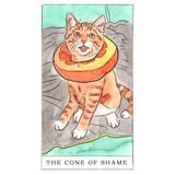 Kitten Oracle: 50 Cards & Guidebook - Megan Lynn Kott | Scout & Co