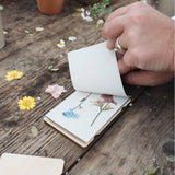Studio Wald - Pocket Flower Press - Cosmos | Scout & Co