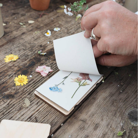 Studio Wald - Pocket Flower Press - Vintage Corn Poppy | Scout & Co
