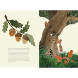 Don’t Eat Me! The Almost True Story of Belladonna - Kate Finney | Scout & Co