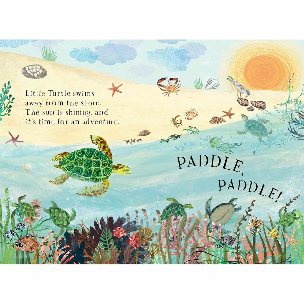 Little Turtle's Book Of The Blue board book - Yuval Zommer | Scout & Co