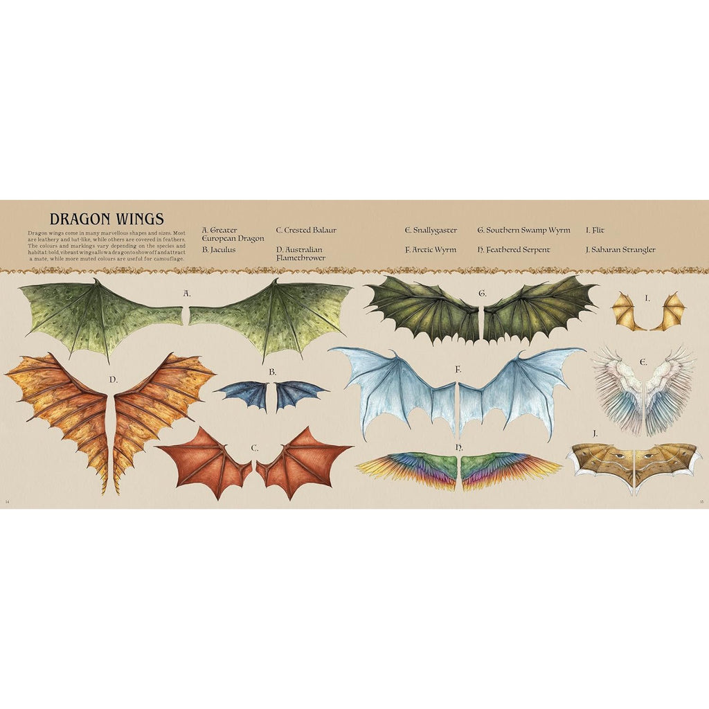 A Natural History of Dragons - Emily Hawkins | Scout & Co