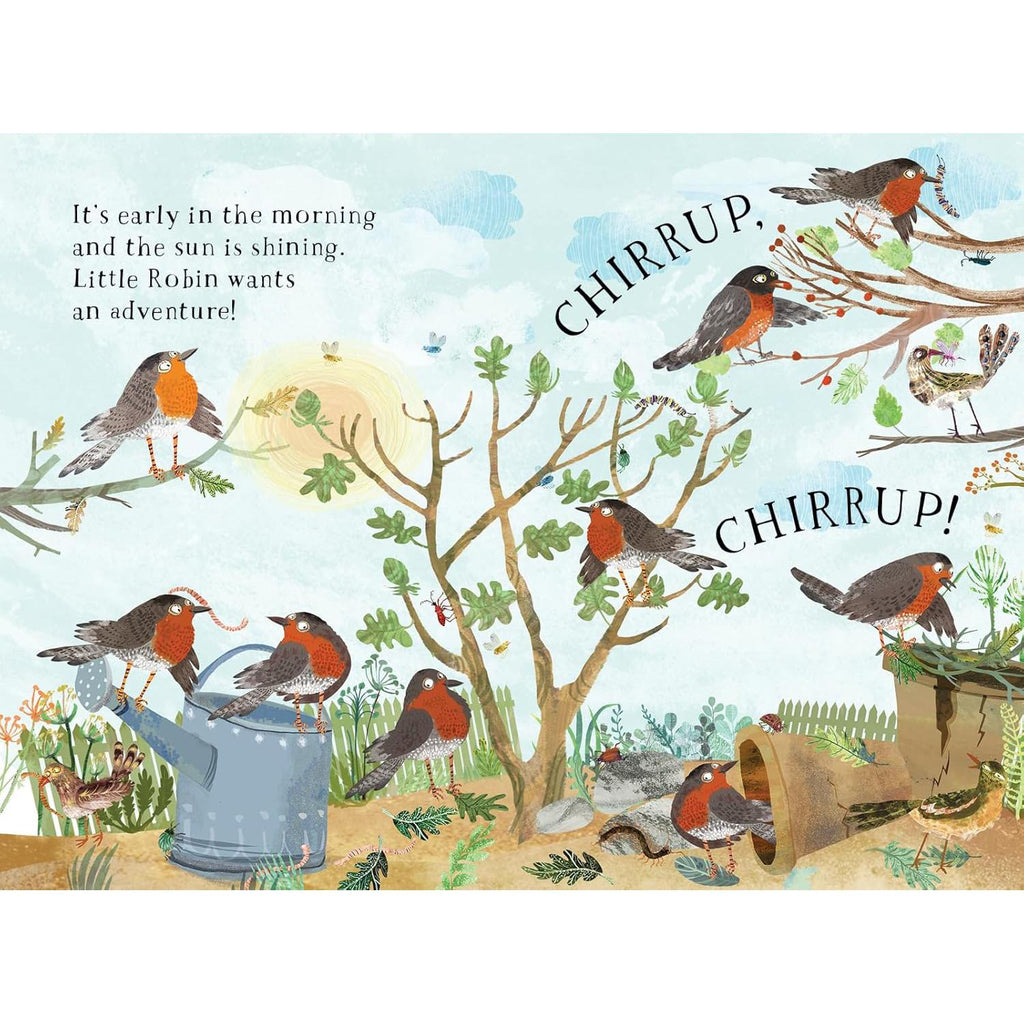 Little Robin's Book Of Birds board book - Yuval Zommer | Scout & Co