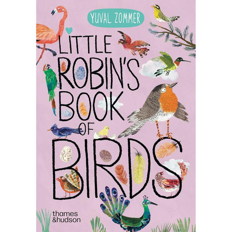 Little Robin's Book Of Birds board book - Yuval Zommer | Scout & Co