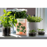 Houseplant Gardener In A Box - Jane Perrone | Scout & Co