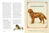 Vintage Dogs: guidebook and matching game - David Alderton