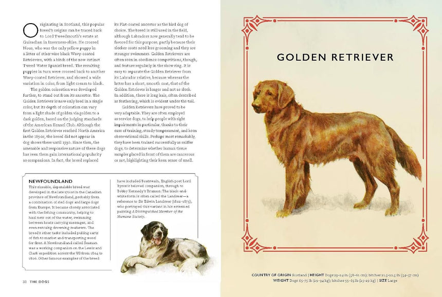 Vintage Dogs: guidebook and matching game - David Alderton