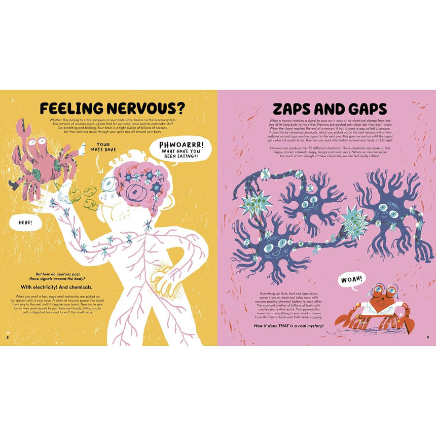 The No-Brainer Brain Explainer: How Animals Think, from Humans to Birdbrains - Crab Museum | Scout & Co