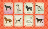 Vintage Dogs: guidebook and matching game - David Alderton