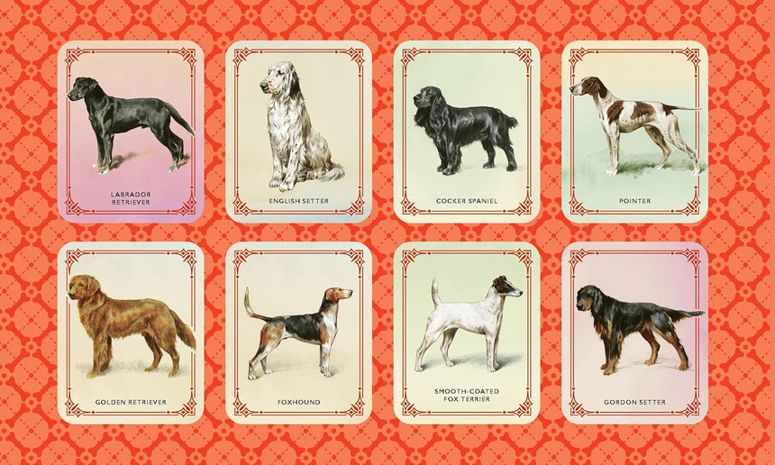Vintage Dogs: guidebook and matching game - David Alderton