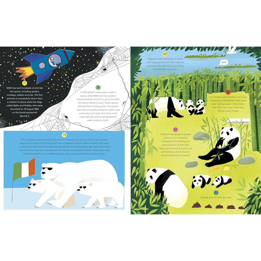 365 Amazing true things to read in bed - Edward Brooke-Hitching | Scout & Co