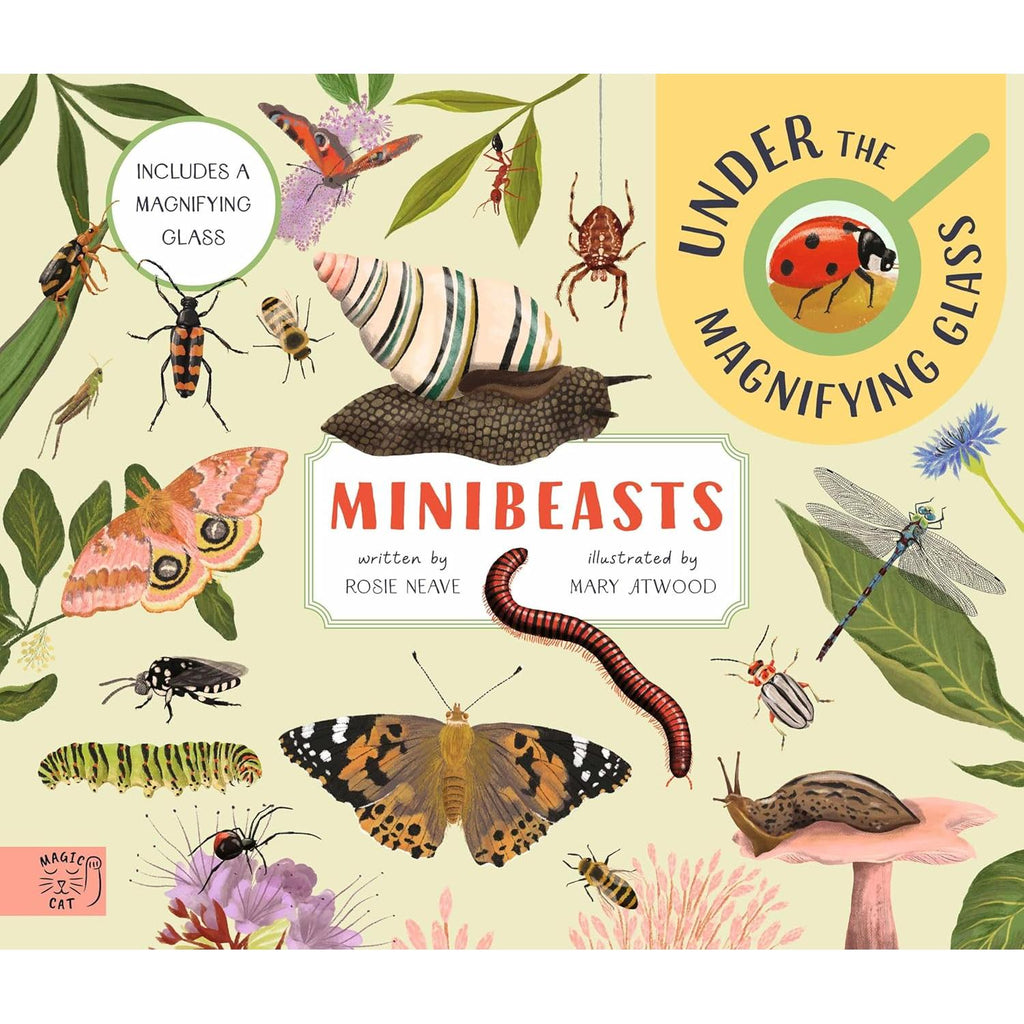 Minibeasts: Under the Magnifying Glass - Rosie Neave | Scout & Co