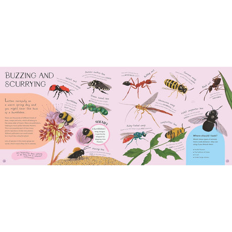 Minibeasts: Under the Magnifying Glass - Rosie Neave | Scout & Co