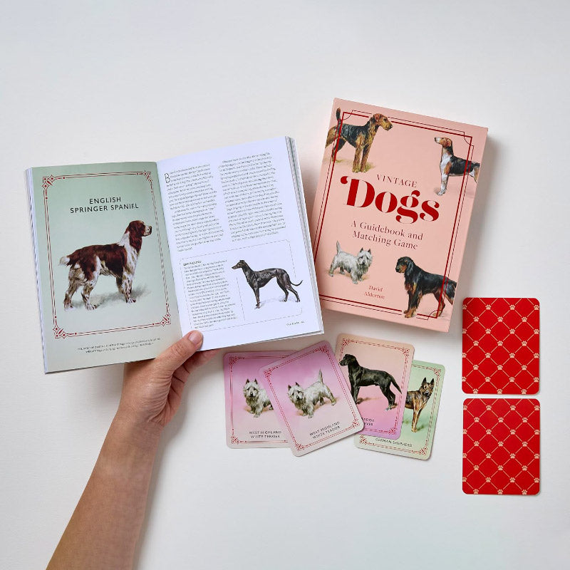 Vintage Dogs: guidebook and matching game - David Alderton