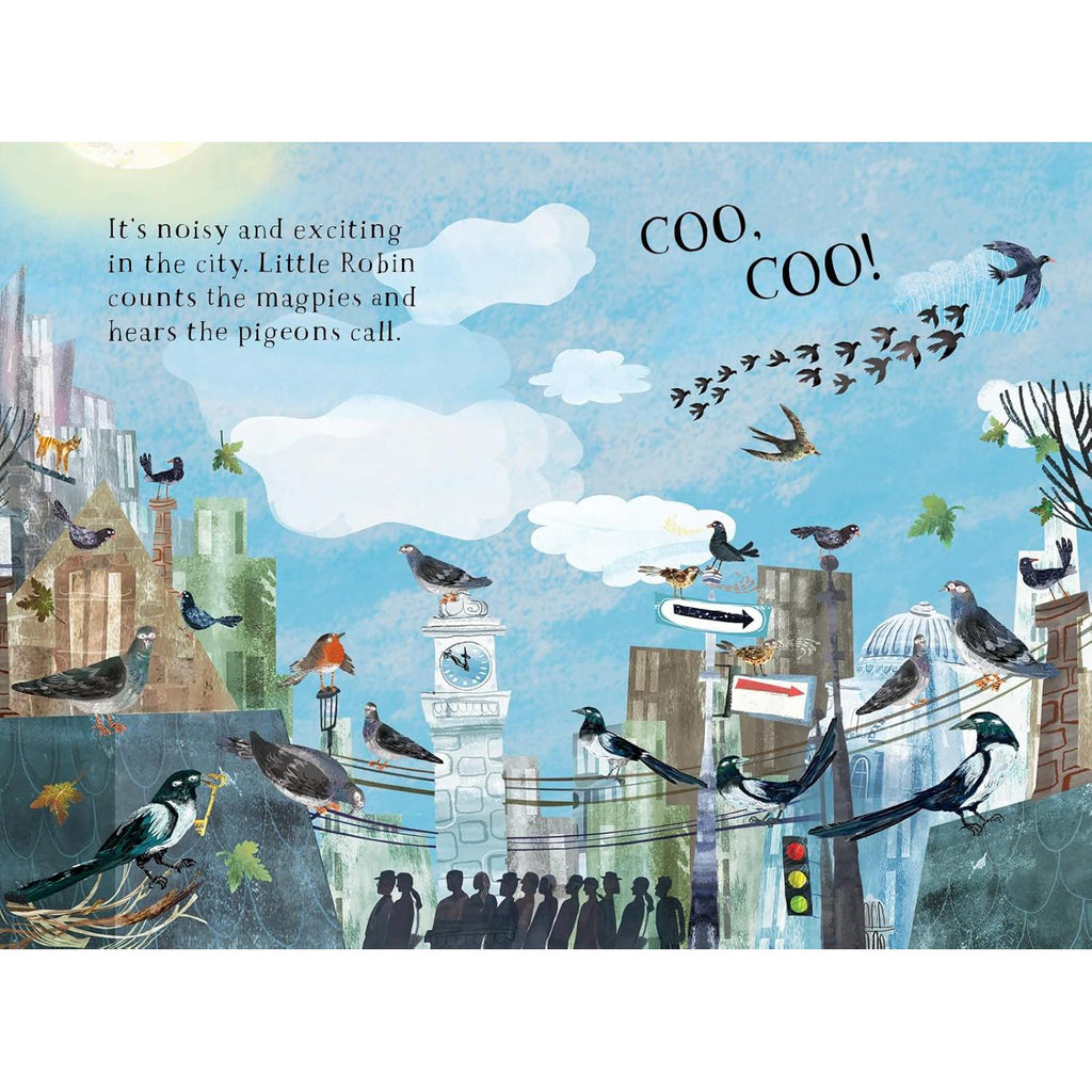 Little Robin's Book Of Birds board book - Yuval Zommer | Scout & Co