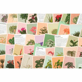 Houseplant Gardener In A Box - Jane Perrone | Scout & Co