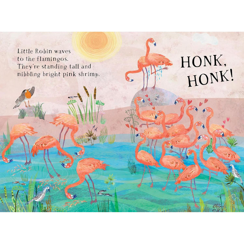 Little Robin's Book Of Birds board book - Yuval Zommer | Scout & Co