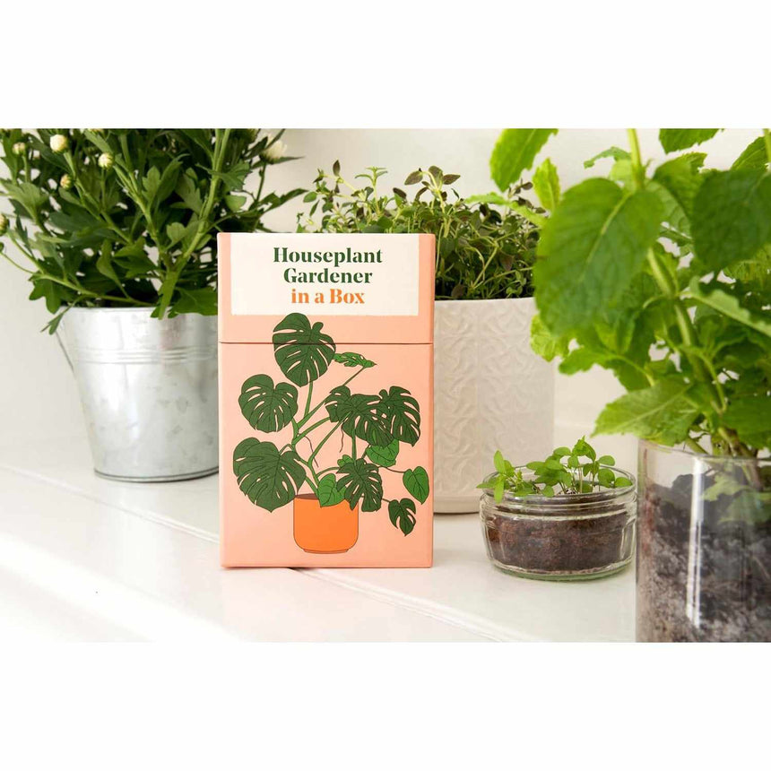 Houseplant Gardener In A Box - Jane Perrone | Scout & Co