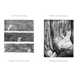 Firefly - Robert Macfarlane & Luke Adam Hawker | Scout & Co