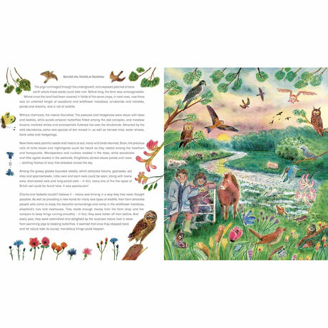 Rewild the World at Bedtime - Emily Hawkins | Scout & Co