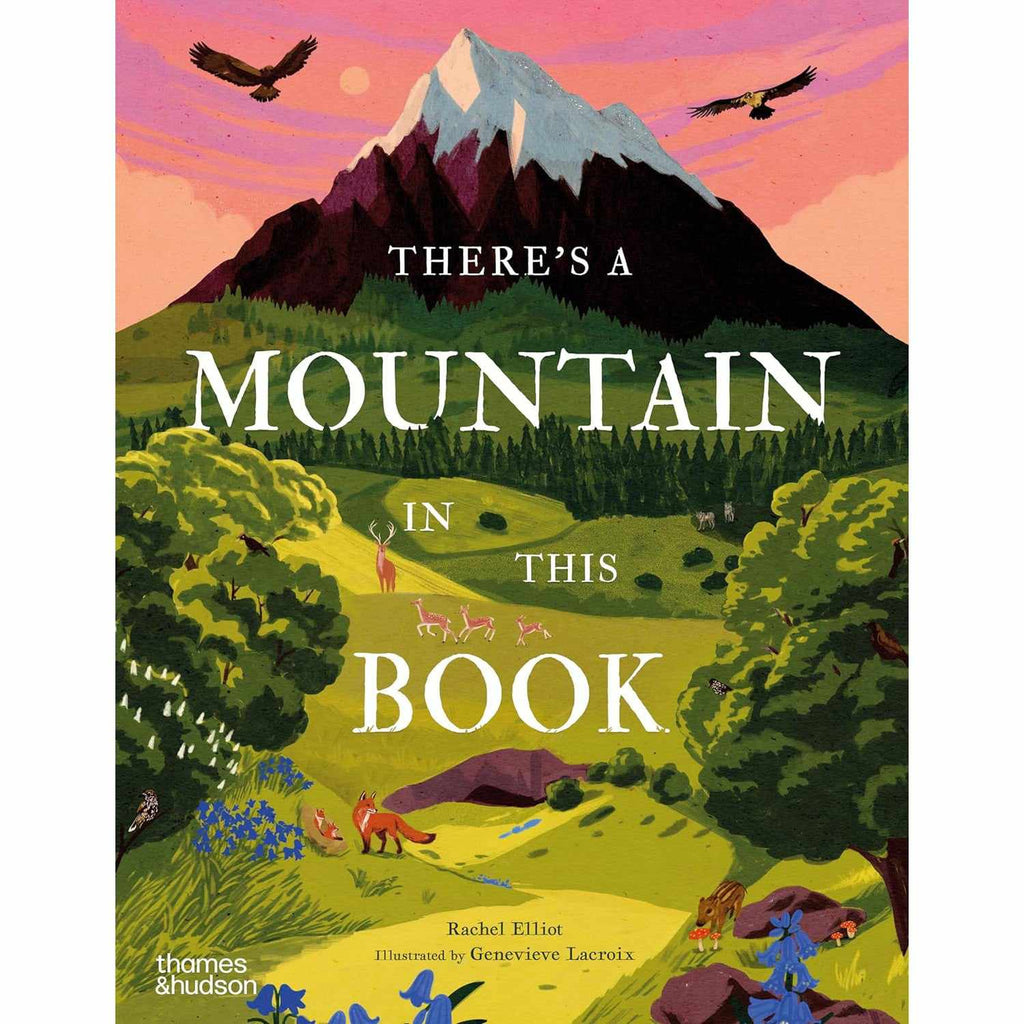 There's A Mountain In This Book - Rachel Elliot | Scout & Co