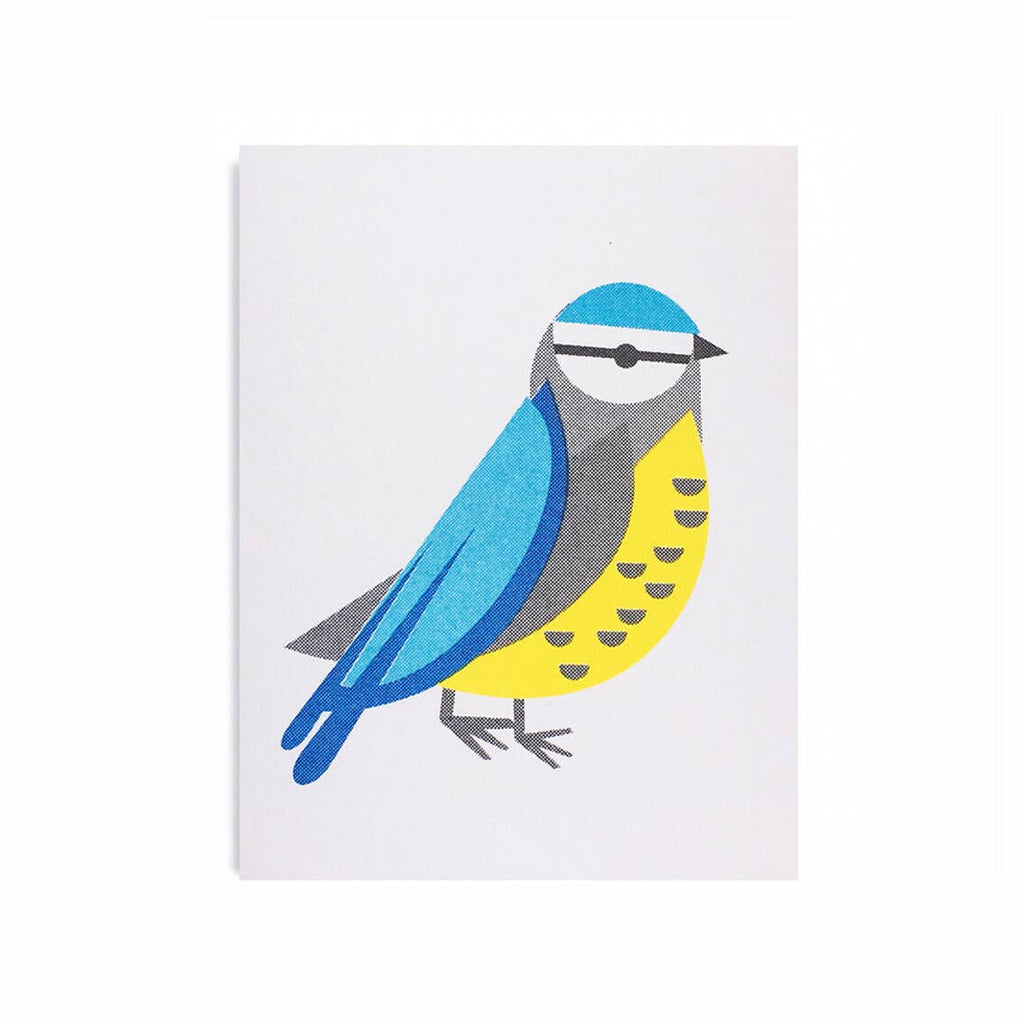 Scout Editions - Blue Tit mini card | Scout & Co