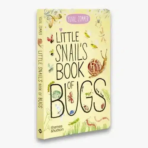 Little Snail's Book Of Bugs board book - Yuval Zommer | Scout & Co