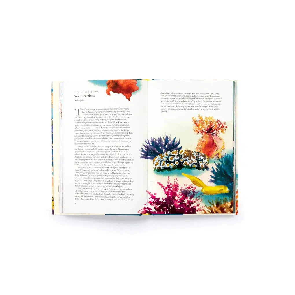 Around The Ocean in 80 Fish & Other Sea Life - Helen Scales | Scout & Co