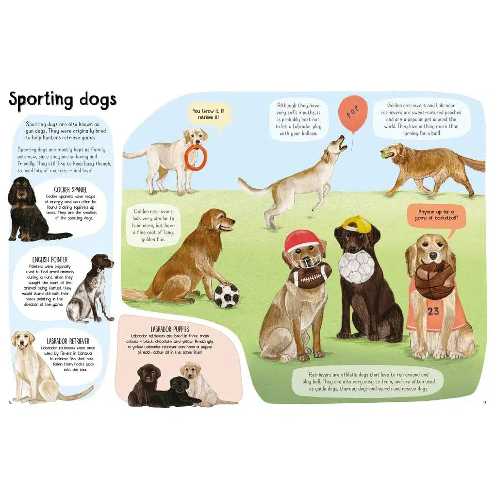 A Book of Dogs (and other canines) - Katie Viggers | Scout & Co