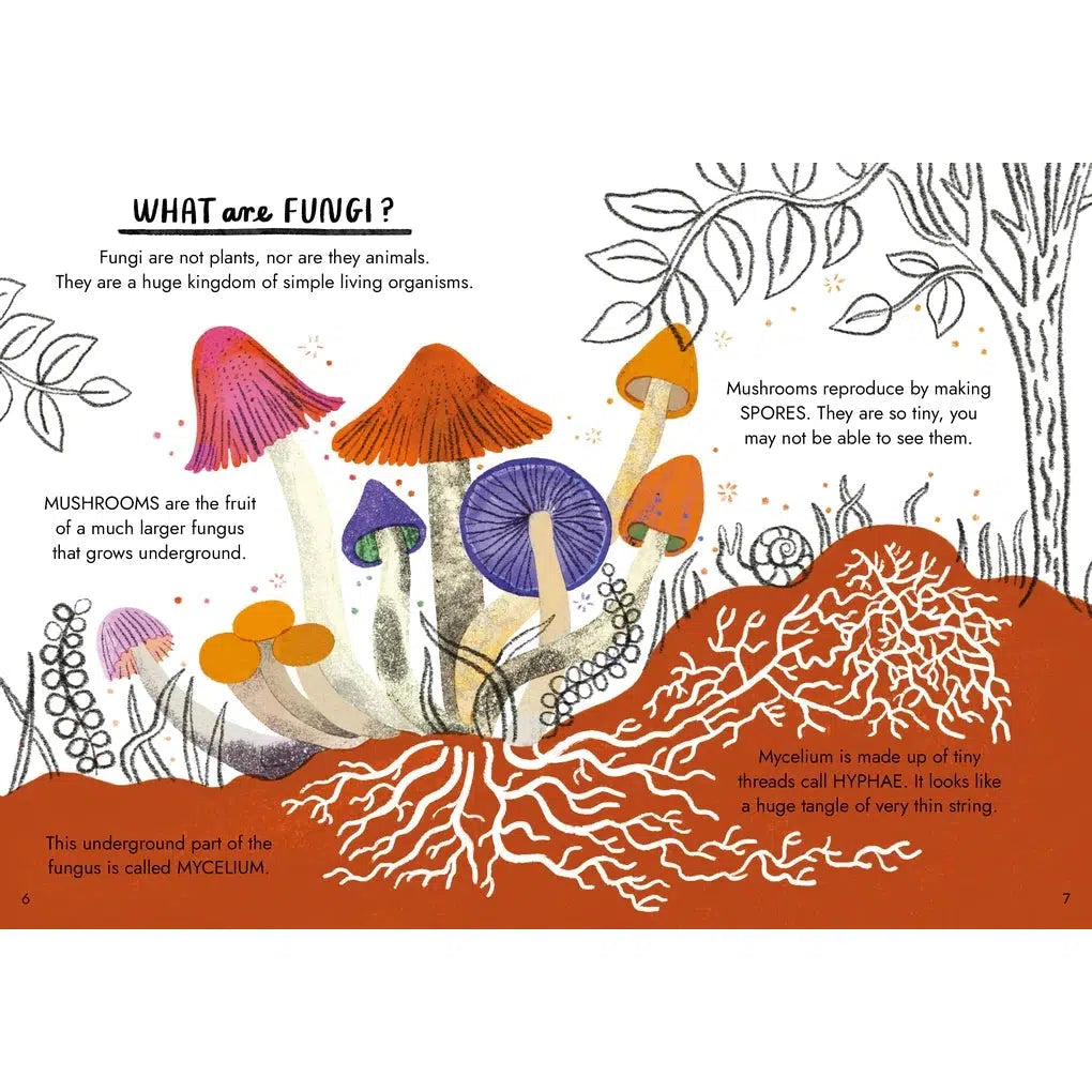 Hello Fungi: A Little Guide To Nature - Nina Chakrabarti | Scout & Co
