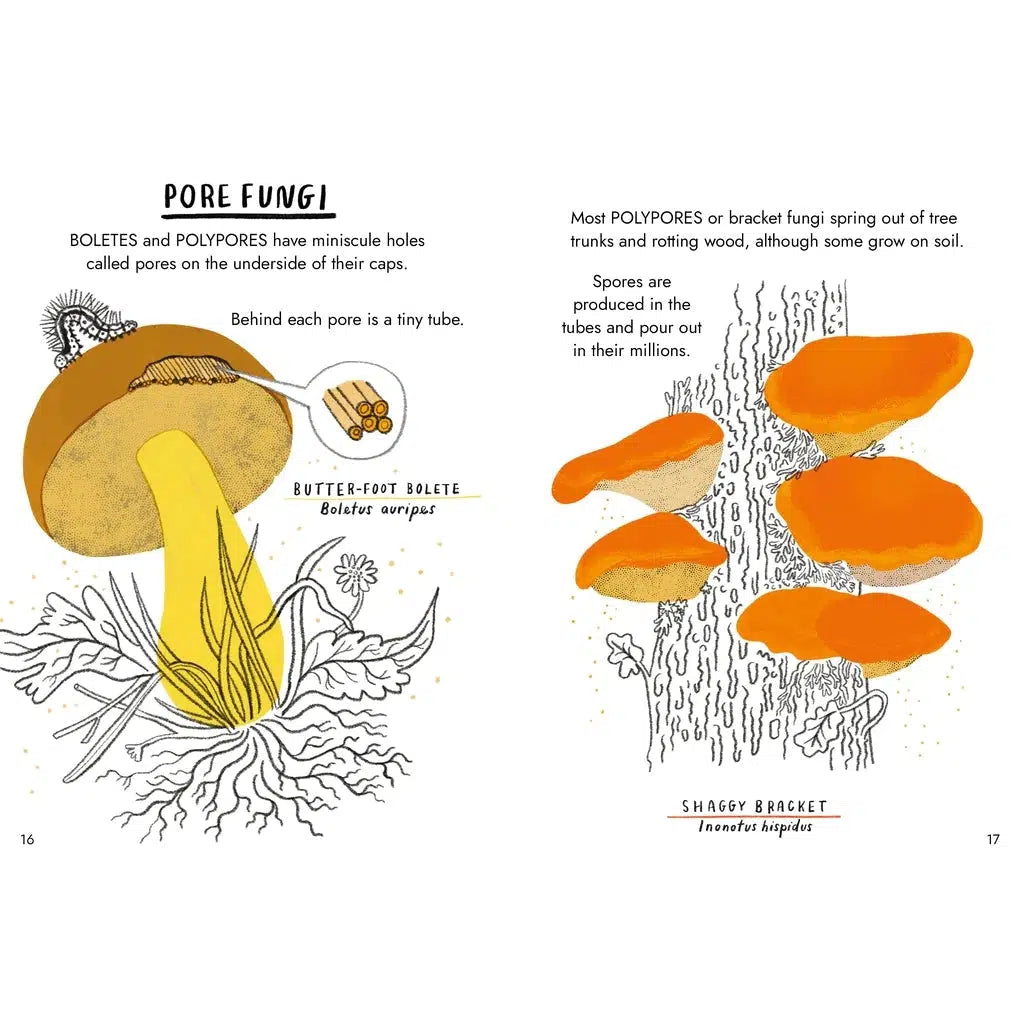 Hello Fungi: A Little Guide To Nature - Nina Chakrabarti | Scout & Co