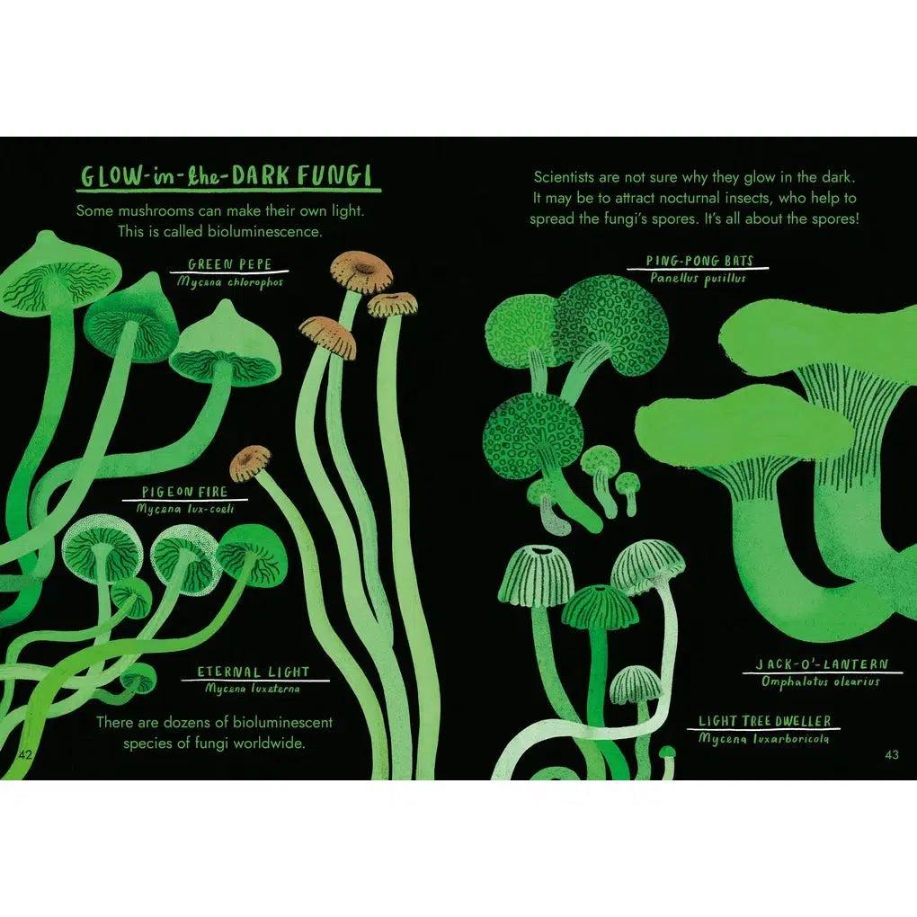 Hello Fungi: A Little Guide To Nature - Nina Chakrabarti | Scout & Co