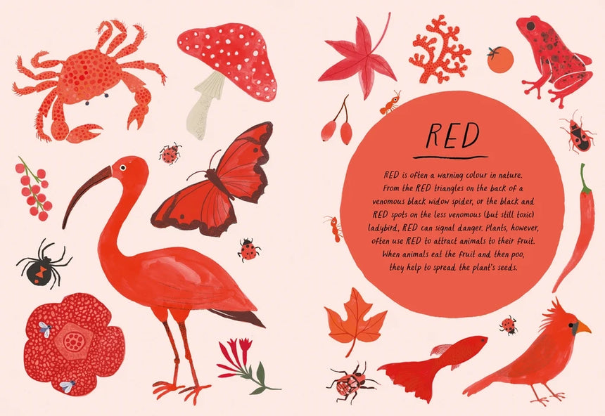 Drawn by Nature: Colours - Emily Rand