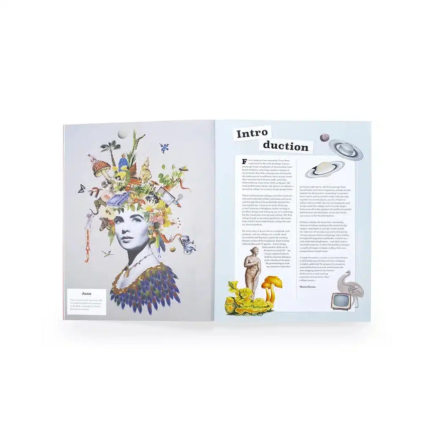 Extraordinary Things to Cut Out and Collage - Maria Rivans | Scout & Co