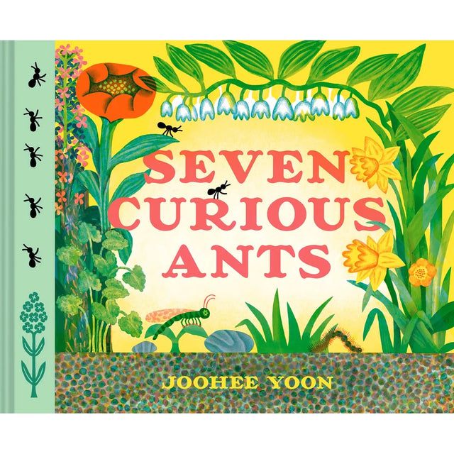 Seven Curious Ants - JooHee Yoon | Scout & Co