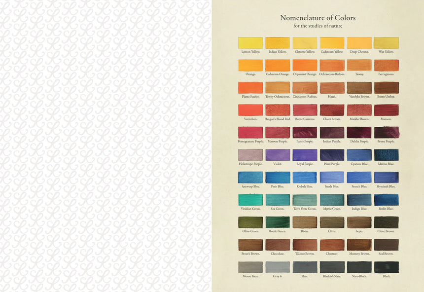 The Collage Compendium: 2000 images to cut out and collage - Roomytown