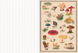 The Collage Compendium: 2000 images to cut out and collage - Roomytown