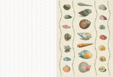 The Collage Compendium: 2000 images to cut out and collage - Roomytown