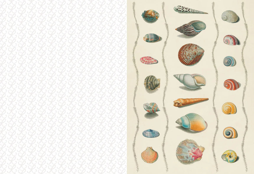 The Collage Compendium: 2000 images to cut out and collage - Roomytown