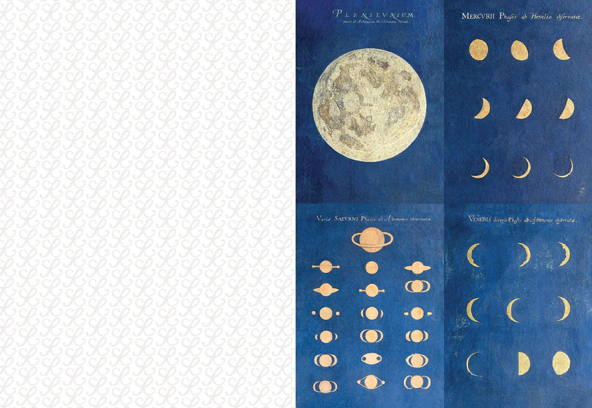 The Collage Compendium: 2000 images to cut out and collage - Roomytown