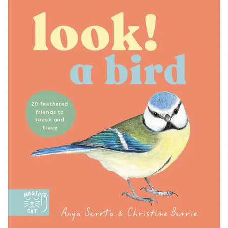 Look! A Bird - board book - Anya Serota | Scout & Co