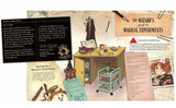 The Wizard's Guide to Magical Experiments - Amanda Wood