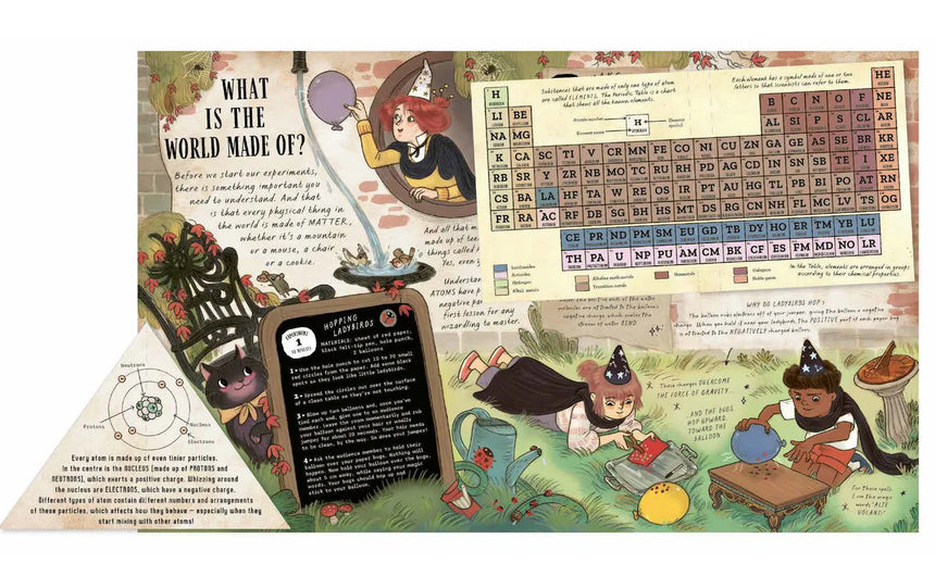 The Wizard's Guide to Magical Experiments - Amanda Wood