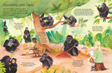 Sticker Life Stories: Jane Goodall - Evie Daye