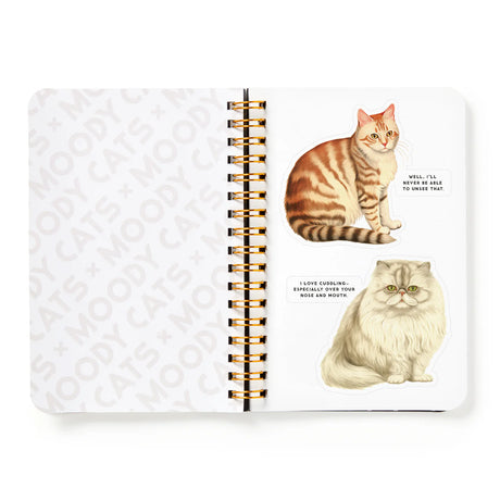 Moody Cats: a sticker book | Scout & Co
