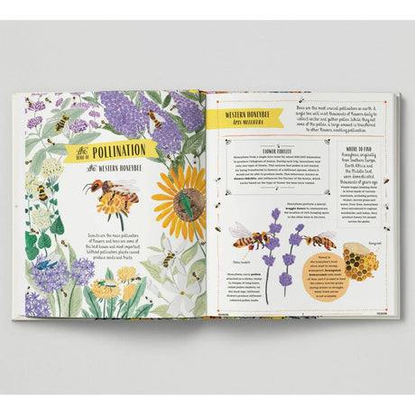 Buzz: A Child's Guide To Bugs & Bees - Richard Jones | Scout & Co
