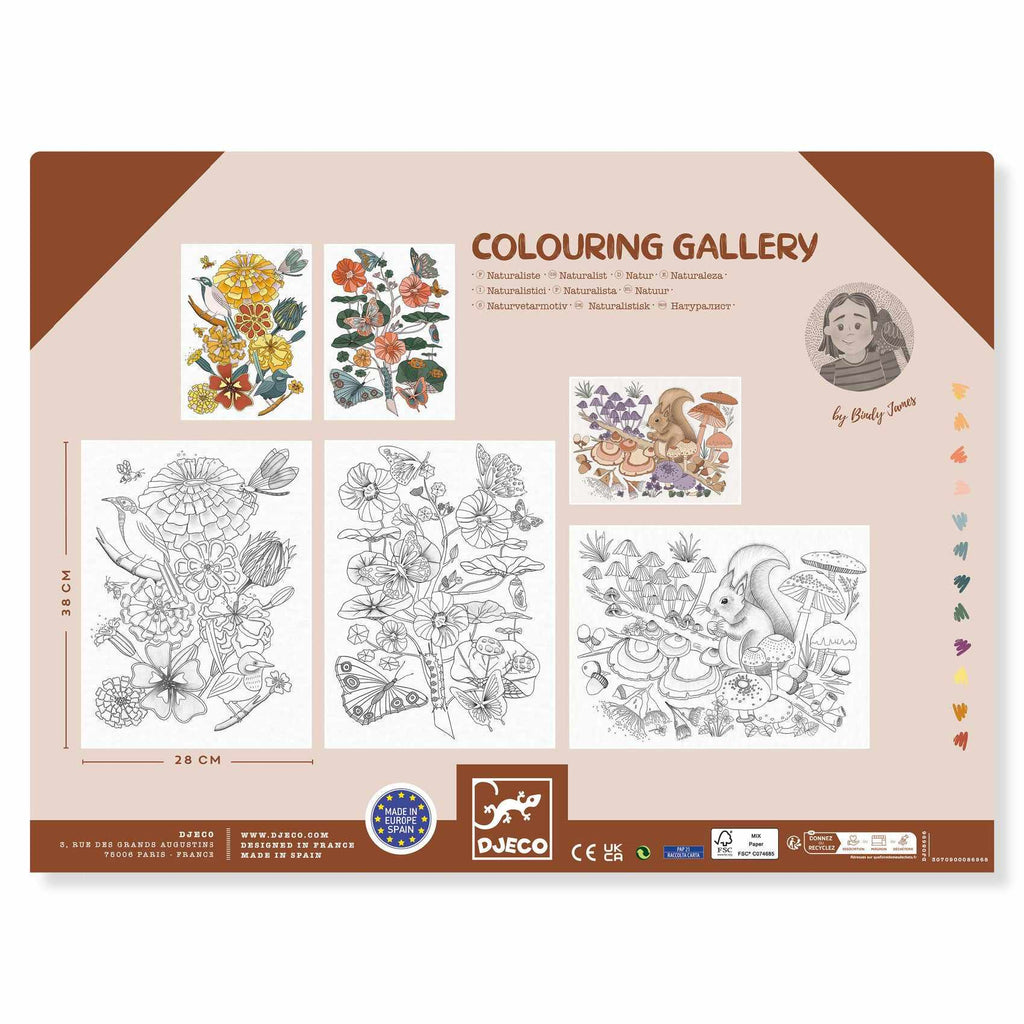 Djeco - Colouring Gallery colouring posters - Naturalist | Scout & Co