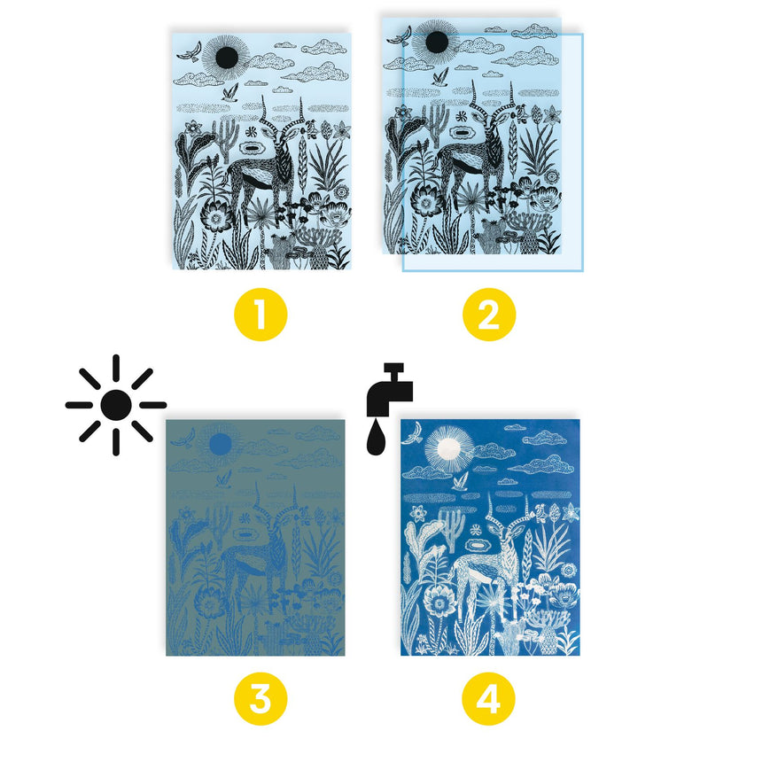 Djeco - Nighttime In The Savannah - cyanotype craft set | Scout & Co