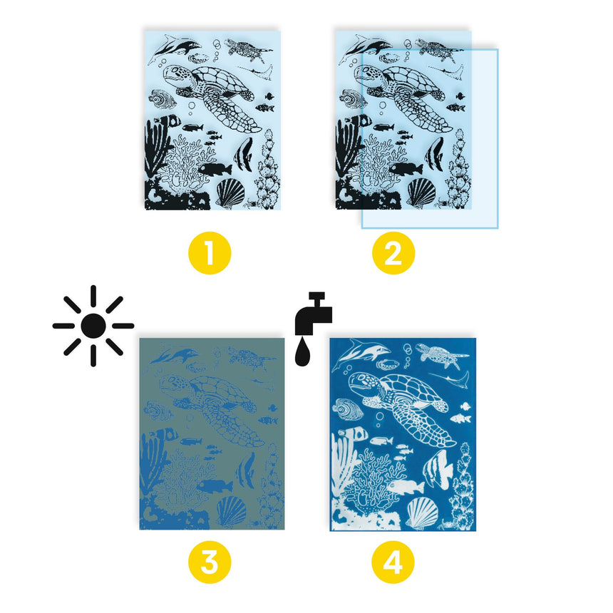 Djeco - Ultramarine cyanotype craft set | Scout & Co