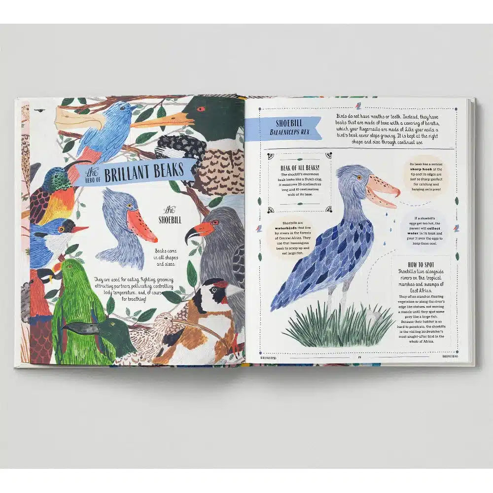 Fly: A Child's Guide to Birds & How to Spot Them - David Lindo | Scout & Co